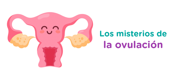 ¡Descubriendo los misterios de la ovulación! 🌸
