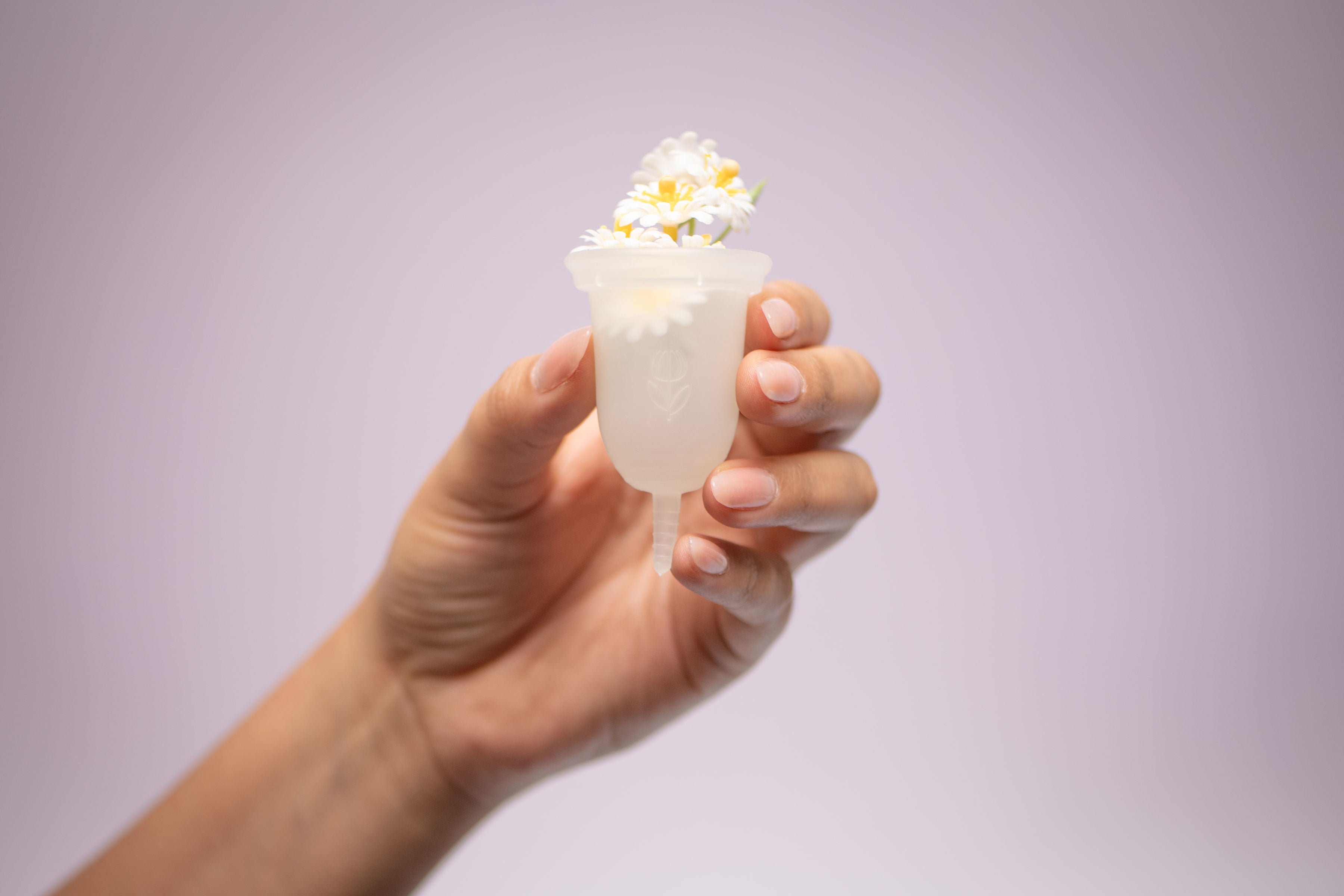 Calidad y Materiales