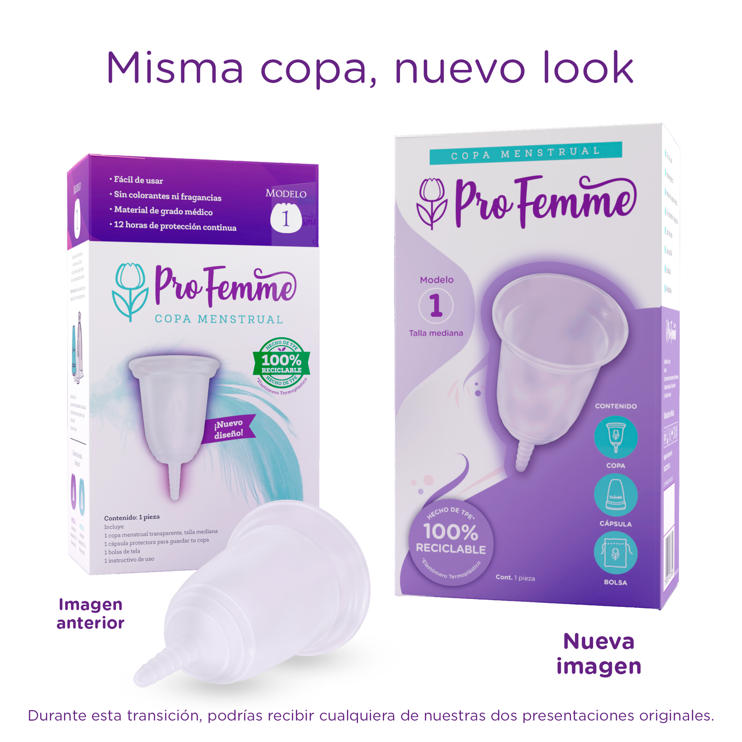 ProFemme Modelo 1 + Bolsa + Cápsula